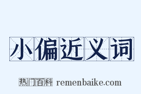 小偏近义词是什么意思的图片